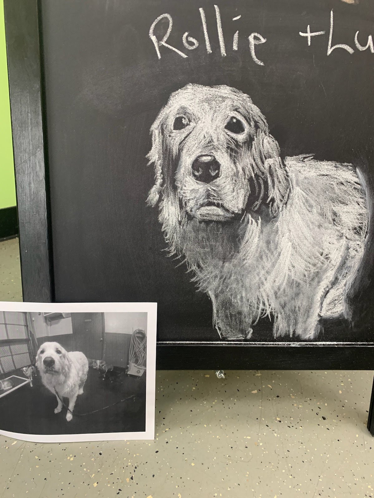 louquilliam portfolio